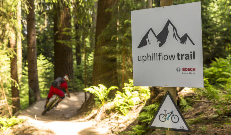 Uphill Flow Trail Bikepark Geißkopf